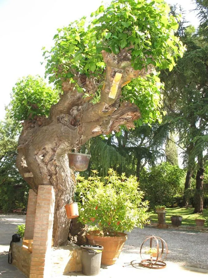 Casavacanze I Pini Cerbaia
